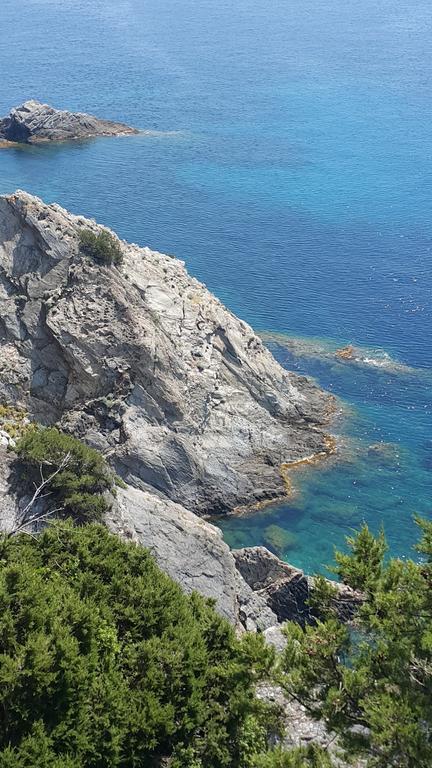 Hostellerie Provencale Πορτ Κρο Εξωτερικό φωτογραφία