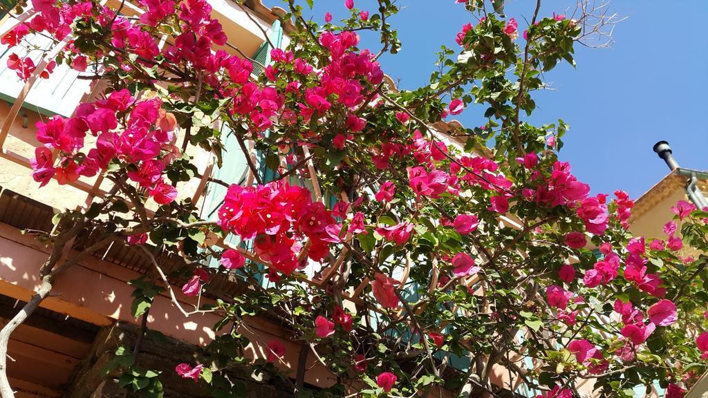 Hostellerie Provencale Πορτ Κρο Εξωτερικό φωτογραφία