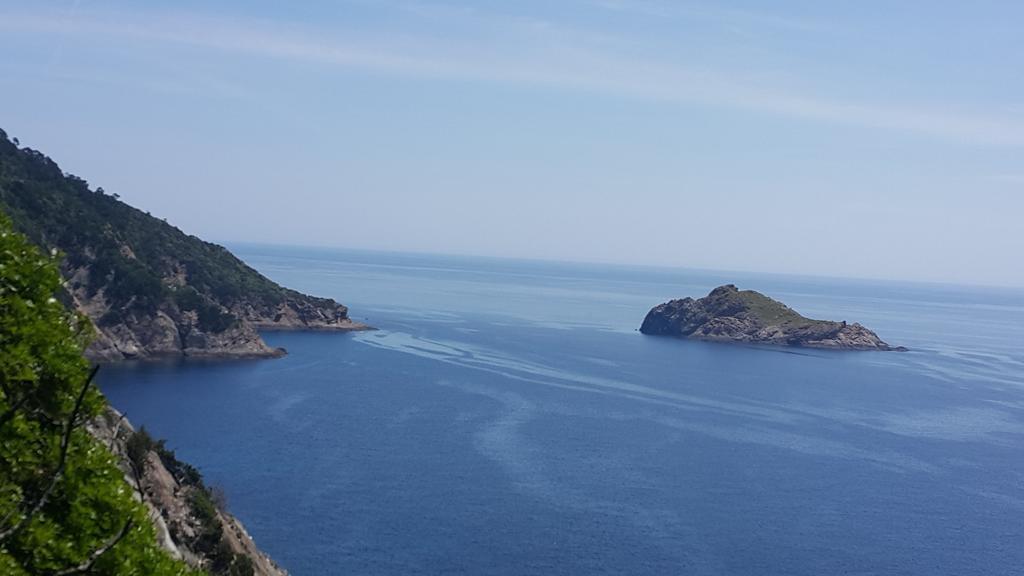 Hostellerie Provencale Πορτ Κρο Εξωτερικό φωτογραφία